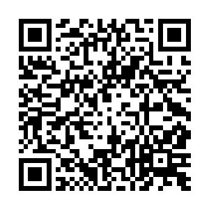 俩人毫无知觉的秀恩爱的行为糊了在场的单身狗们一脸二维码生成