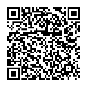 修为也已经踏入了炼神境不再是原本那个连一只野猪都追不到的小妖怪二维码生成