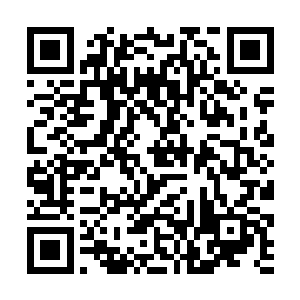 修为最高的龙天麟已经达到了恐怖的神尊顶峰的水平二维码生成