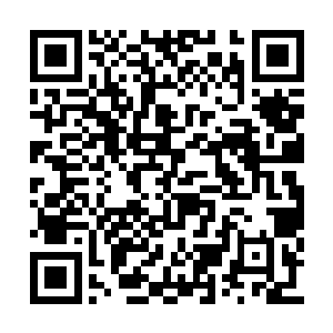 修士们炼化世界核心只是具备了晋升天尊的可能二维码生成