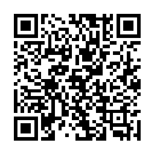 修士们的力量汇聚成一个无边无际的球体从天而降二维码生成