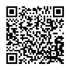 修士里面只是极其少数的一些人才有那个实力击败同境界的妖兽二维码生成