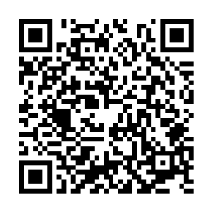 修真成仙本来就是一件让所有人都渴望向往的事情二维码生成