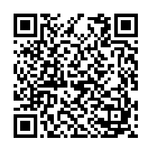 修真界大部分渡道尊天劫的修士都在四九雷劫之下二维码生成