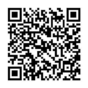 修罗王恐怕能相当于人类之中神变期武者的佼佼者二维码生成