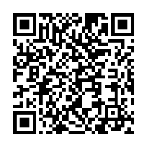 修长的手指也只剩下皮包着骨头……她目光突地有些模糊二维码生成