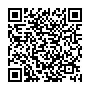 修长笔挺的两条长腿……这具身体简直是上帝最完美的杰作二维码生成