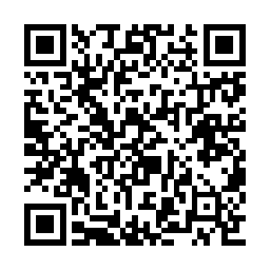 俺老孙的七十二变可不仅仅只能变七十二种动物二维码生成