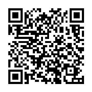 倒不是因为这个苗冰心是女的出乎他意料之外太过惊奇二维码生成