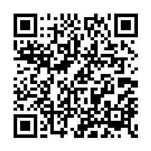 倒不是苏凡有意要叫文森特还有血月的众人吃饭二维码生成