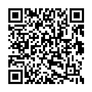 倒不是韩风心软要放过雷龙岛上的啸天雷龙一族二维码生成