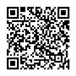 倒也没刻意去解释自己在泰国认识的人虽然不是泰国国王二维码生成