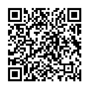 倒也能隐隐猜想到自己的女弟子似乎对自己产生了一丝少女情怀二维码生成