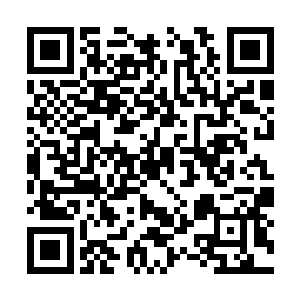 倒像是和那陆姓男子已经结成同一阵线来对付我了二维码生成