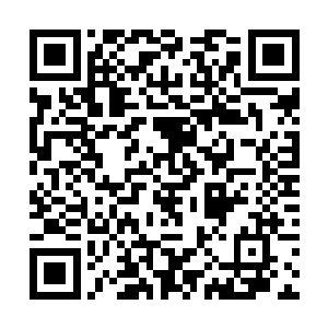 倒像是洪荒时代的夸父族用某种巨大的植物炼制而成二维码生成