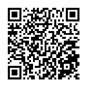 倒像极了自己前世在深蓝学院中听院长讲述的往事中的一样奇物二维码生成
