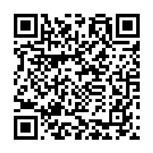 倒是丁羽看着两个小家伙已经对台上面的搏击不敢兴趣了二维码生成