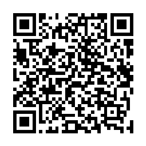 倒是以前淮老曾经派人警告过自己不要招惹刘姓的一家人二维码生成
