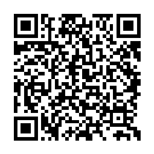 倒是俄罗斯军方这边专门的派人过来给丁羽打伞二维码生成