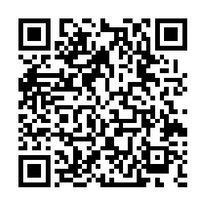倒是在荣光的身边有两个斯托克城的球员对他寸步不离呢二维码生成