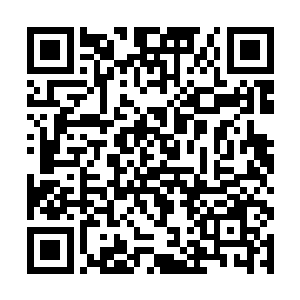 倒是坐在前排的念深小心翼翼的抬头来看我们的脸色二维码生成