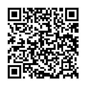 倒是妹妹像个呆子一样捧着一本书如痴如醉的念二维码生成