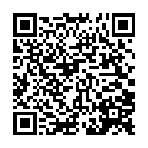 倒是小家伙很快的就跑到了那位女孩子的身前位置二维码生成