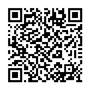 倒是年轻的阿莫除了刚开始那一声情不自禁之后二维码生成