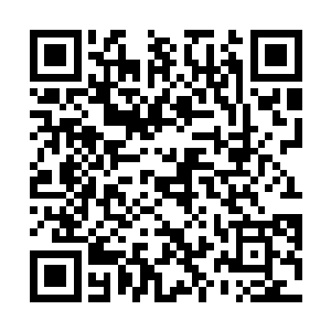 倒是旁边的刘道长和杨明两个人走过来的时候看了一眼二维码生成