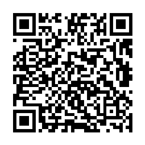 倒是没料到季疏云竟然会这般仔细地照顾自己的妹妹二维码生成