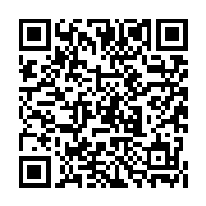 倒是知道郑小艾是和前市委书记关系不明不白的二维码生成