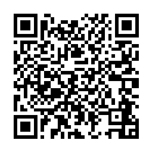 倒是秦宝华和后来接替陆为民的林钧等人还时不时提及二维码生成