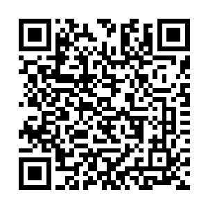 倒是第一次有人给他带来这么强大的危机感和压迫感二维码生成