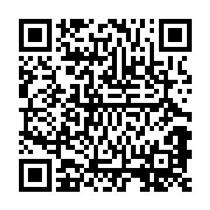 倒是类似皇甫君媃之类的女掌柜们看到这群舞女的打扮微微皱眉二维码生成