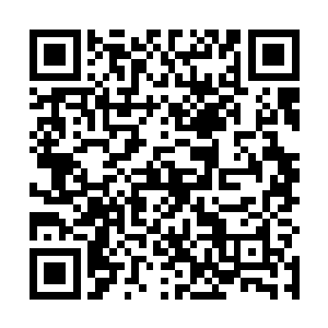 倒是苏宁与和丈夫请几个关系比较好的朋友吃了一顿饭二维码生成