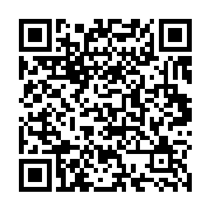 倒是让聚集在频道当中的洛克星的小众粉们不自在起来二维码生成