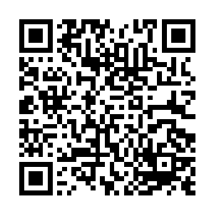倒是许多人纷纷将目光投向裘染和几位青阳神殿的长老们二维码生成