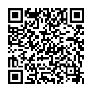 倒是赛维星球让她想起了帝国三大集团军的斗争二维码生成