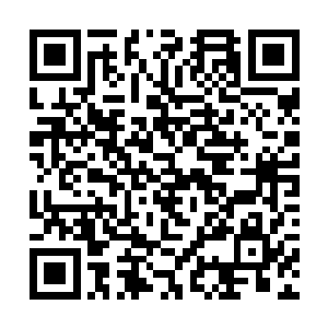 倒是那梁老爷在管家和护卫的帮助下忙了好大一阵子二维码生成