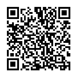 倒要看看那位曾经独霸星空的妖僧神魂是个什么样子二维码生成