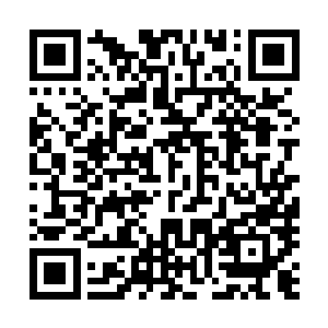 倒贴也只有你家刺猬阿财和隔壁王二哥肯赏脸吃一口好不好二维码生成