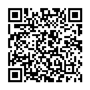 倒马关那会儿貂覆额的腴美人差点要强抢这个小白脸二维码生成