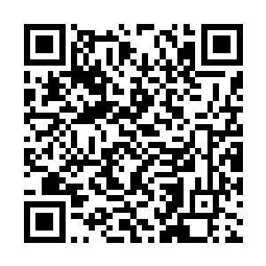 倘若剑尘这根可以让她从情网中挣脱出来的线断了二维码生成