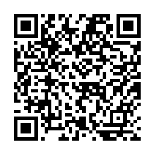 倘若厉无疾和诸多星盗头子早先看到的是他此刻的容貌二维码生成