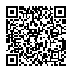 倘若我们真的炼制出了千千万万的太虚战兵出来二维码生成