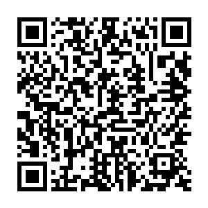 倘若牛顿在那颗著名的苹果尚未掉落之前就死于可怕而普遍的传染病二维码生成