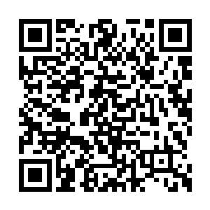 倘若能以大批钢筋铁骨的战斗傀儡来代替圣盟人二维码生成