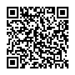 倘若让一名一色元丹修为的低阶弟子来做护道者二维码生成
