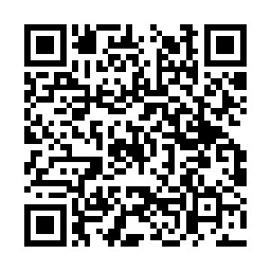 借助于洞察带来的强大视觉能力和蚌珠细微的光芒二维码生成