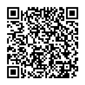 借此压制住外域真仙各个击破才取胜……反过来也可压制四脉仙人二维码生成